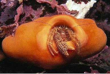 《喋血复仇》玩家在高难度平衡设定下频频受挫